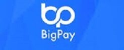big pay logo
