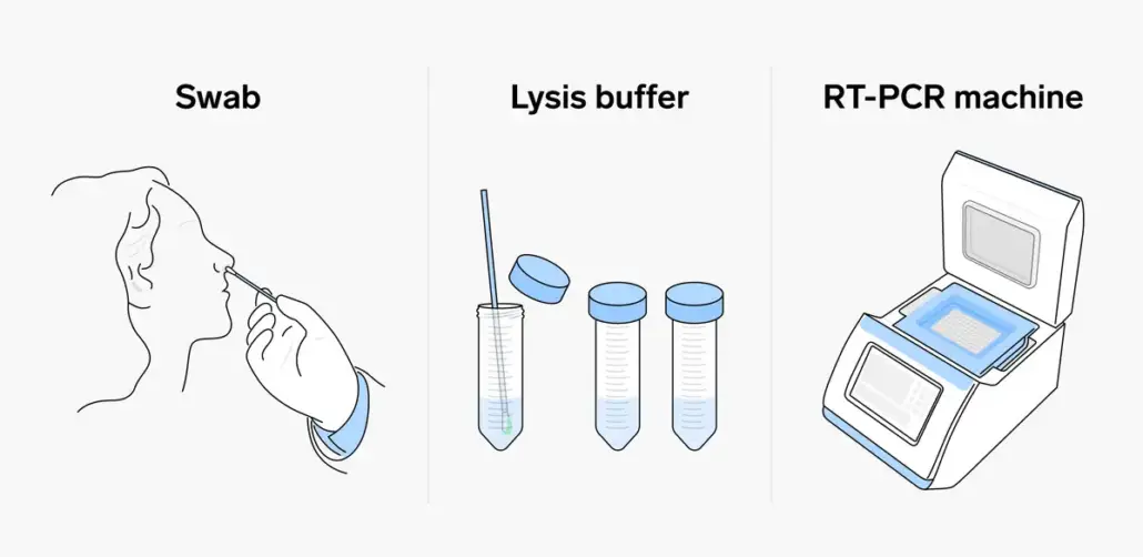 rt-pcr covid test-swab test