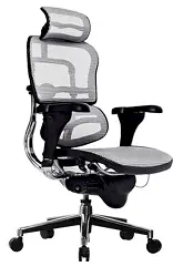 AM Office Ergohuman Mesh Chair
