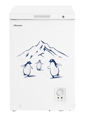 Hisense Chest Freezer mini deep freezer 128L FC125D4BW