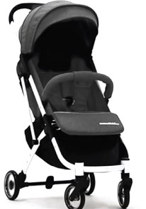 Budget Lightweight Foldable Stroller