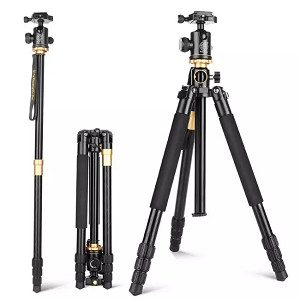 Best Professional Phone Tripod