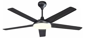 Budget Ceiling Fan with Light
